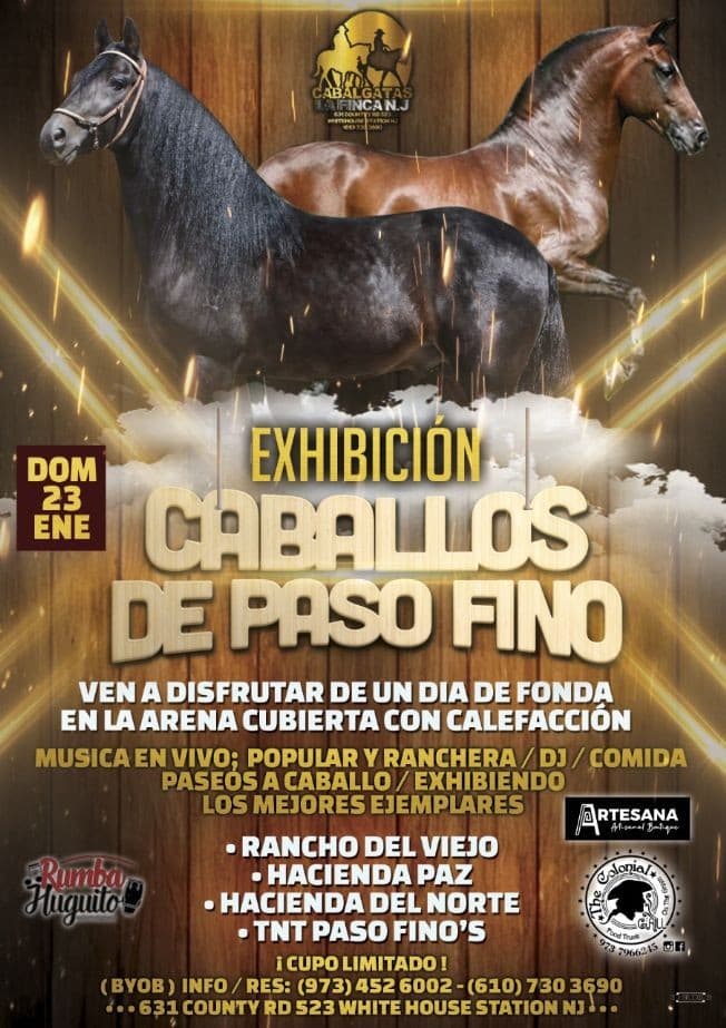 Event - Exhibicion Caballo paso fino/Musica en vivo - WHITEHOUSE STATION, New Jersey - January 23, 2022 | concert tickets