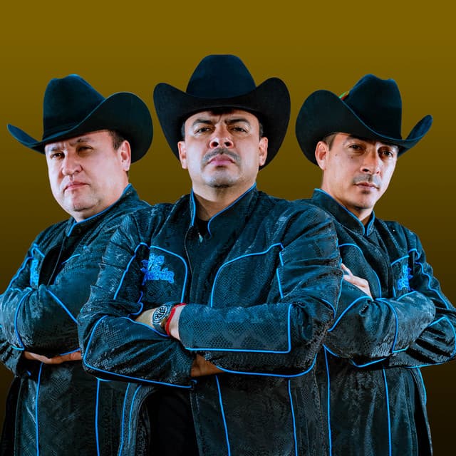 Artist "Hijos De Barron" 71e7f918-6334-4f0b-a90c-28c0ccd70172 on Tickeri