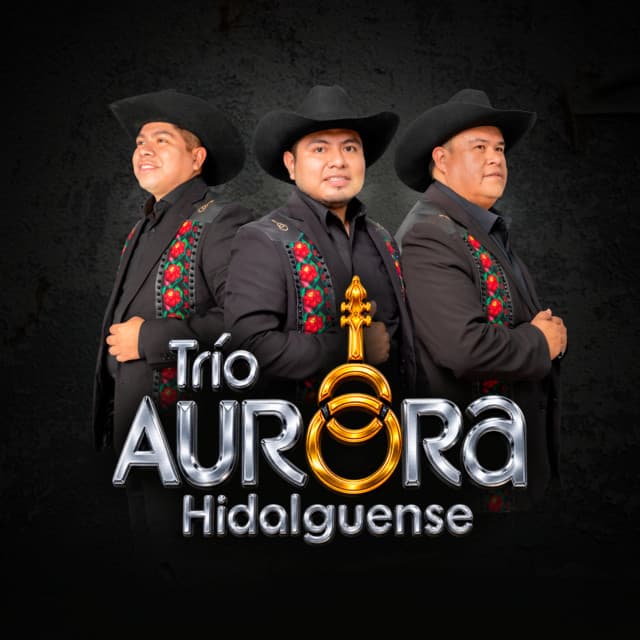 Artist "Trio Aurora Hidalguense" bc80bcd3-b10e-487a-b264-0a88eb84f98d on Tickeri