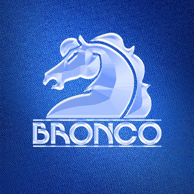 Artist "Bronco" 827b2cf9-c000-44b1-aec2-832237a75fc0 on Tickeri