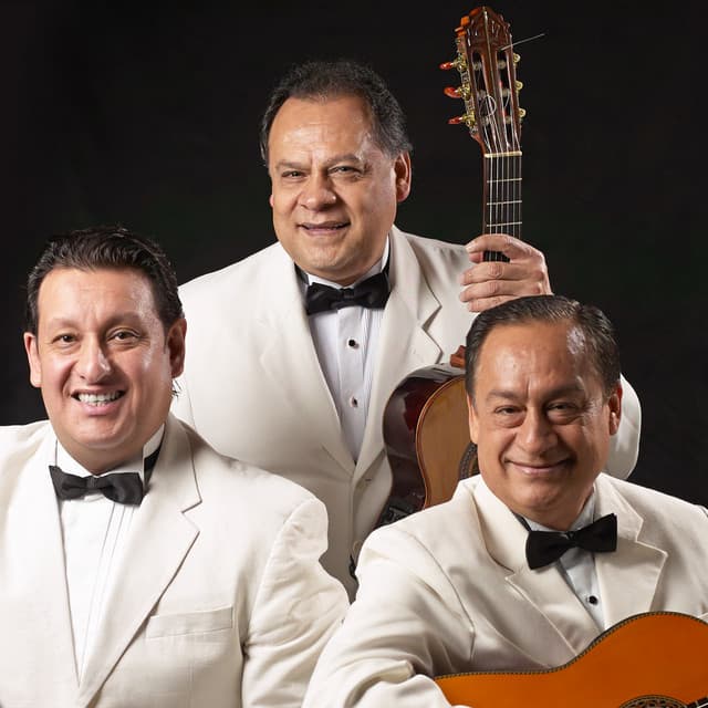 Artist "Trio Los Panchos" 95f74fee-6e59-4861-88e8-567a43dc5dbb on Tickeri