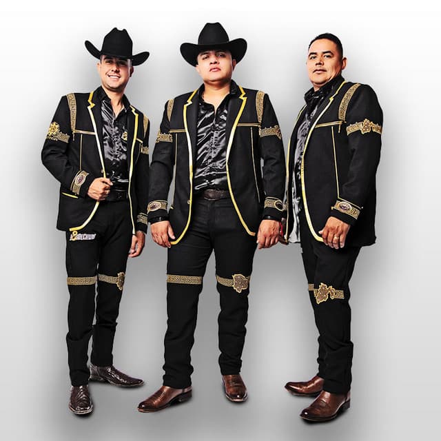 Artist "Grupo Los de Chiwas" ae8ab98b-80bc-4e4b-ad32-6fb0da4c2bc5 on Tickeri