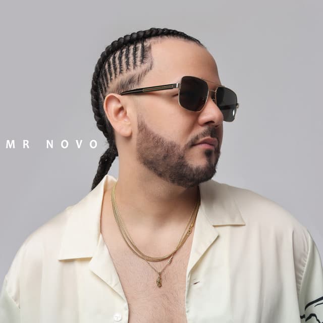 Artist "Mr Novo" 40366a5d-7606-4b8e-b467-279581a61e6b on Tickeri