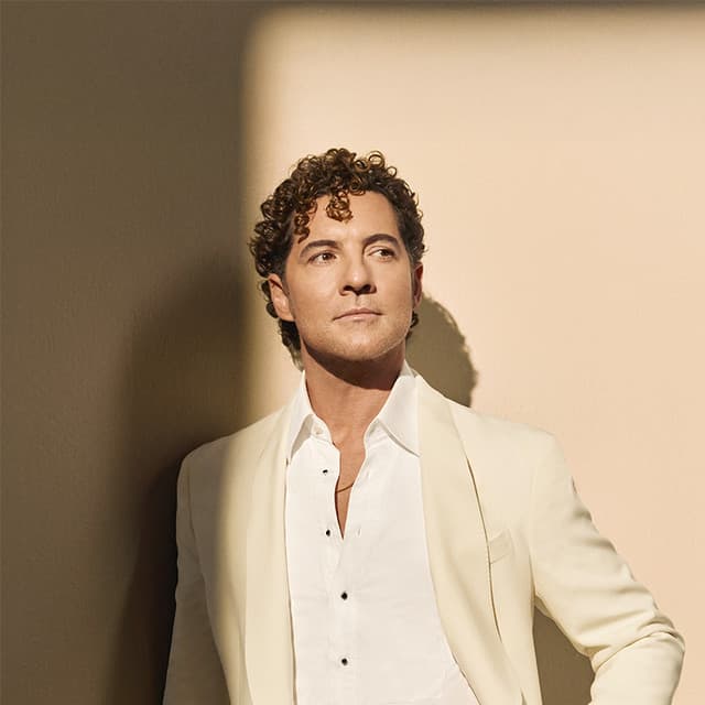 Artist "David Bisbal" 85501154-42a7-4de2-8249-0feefb9cfe99 on Tickeri