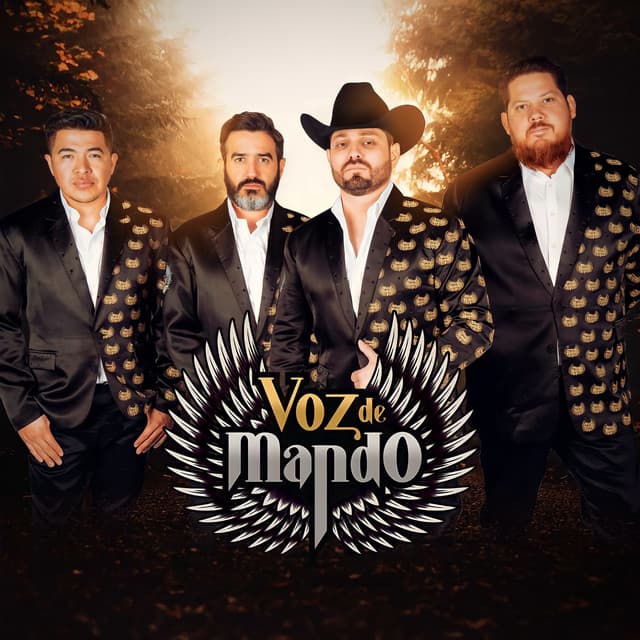 Artist "Voz De Mando" 2b62b609-19c4-459e-9c6e-2dead45fcab8 on Tickeri