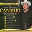Artist "El Canario de Cazorla" e459c21d-4563-4073-bc85-65009c018de4 on Tickeri