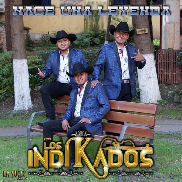 Artist "Trío Los Indikados" 2259e482-73c1-40d8-96df-b22a9803f81f on Tickeri