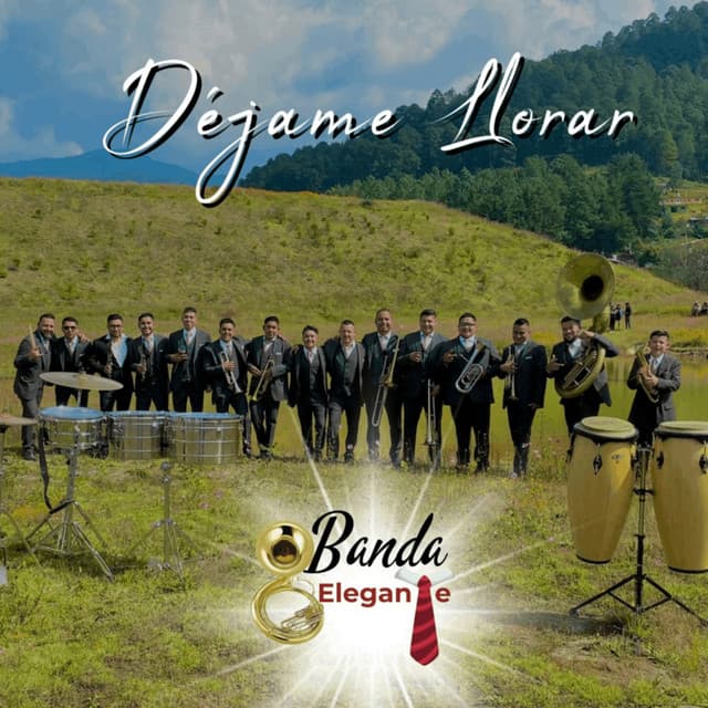Artist "Banda Elegante" 86b89e57-5b66-4c55-ae9d-d1ff2b0994a8 on Tickeri