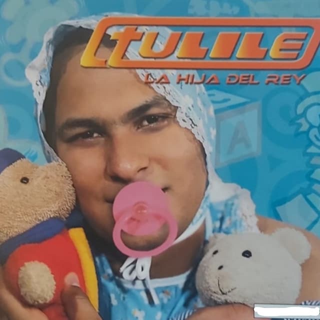 Artist "Tulile" 6306081c-1329-4b2b-88bd-862f6f85e806 on Tickeri