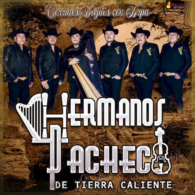 Artist "Hermanos Pacheco de Tierra Caliente" 981fc62c-ca9e-4183-86fa-8b34533f0371 on Tickeri