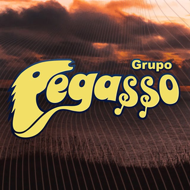 Artist "Grupo Pegasso" 2e58a9c4-0edf-4a66-97c0-5bbe67249e0c on Tickeri